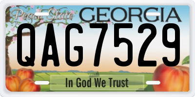 GA license plate QAG7529