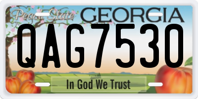 GA license plate QAG7530