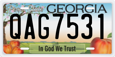 GA license plate QAG7531