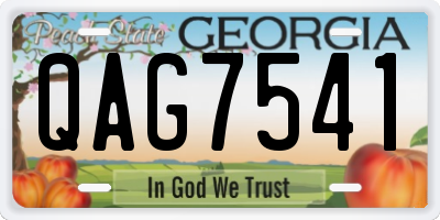 GA license plate QAG7541