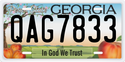 GA license plate QAG7833