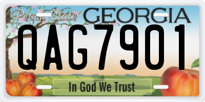 GA license plate QAG7901