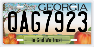 GA license plate QAG7923