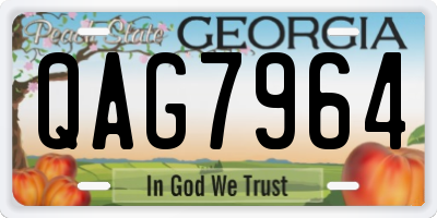 GA license plate QAG7964