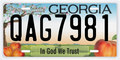 GA license plate QAG7981