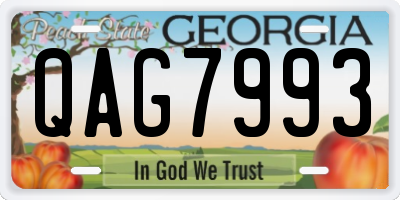GA license plate QAG7993