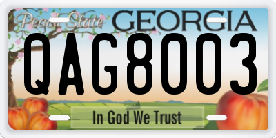 GA license plate QAG8003