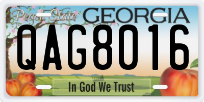 GA license plate QAG8016