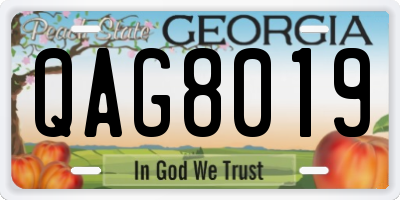 GA license plate QAG8019