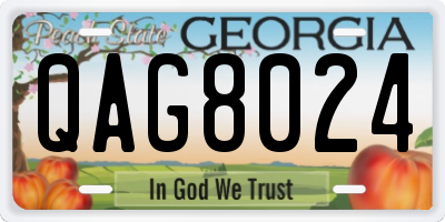 GA license plate QAG8024