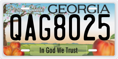 GA license plate QAG8025