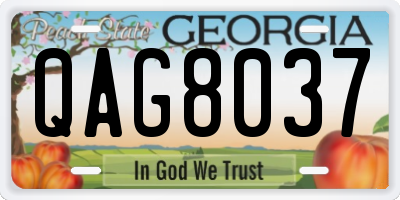 GA license plate QAG8037