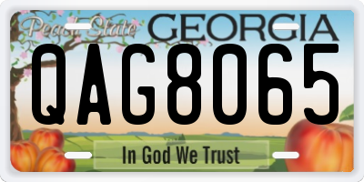 GA license plate QAG8065