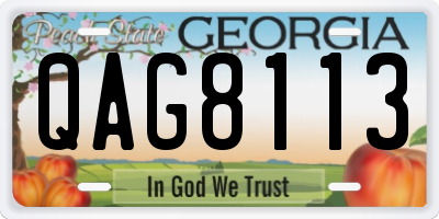 GA license plate QAG8113