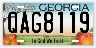 GA license plate QAG8119
