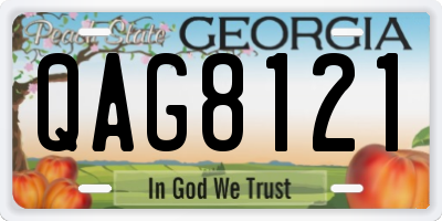GA license plate QAG8121