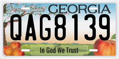 GA license plate QAG8139