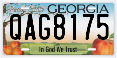 GA license plate QAG8175