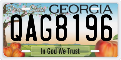 GA license plate QAG8196