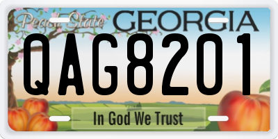 GA license plate QAG8201