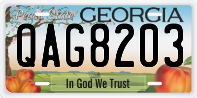 GA license plate QAG8203