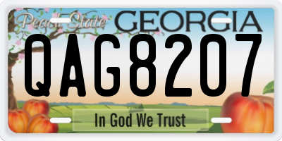 GA license plate QAG8207