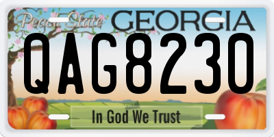 GA license plate QAG8230