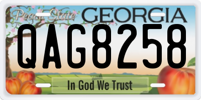 GA license plate QAG8258