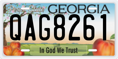 GA license plate QAG8261