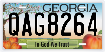 GA license plate QAG8264