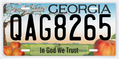 GA license plate QAG8265