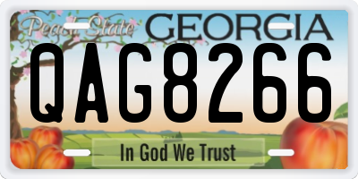 GA license plate QAG8266