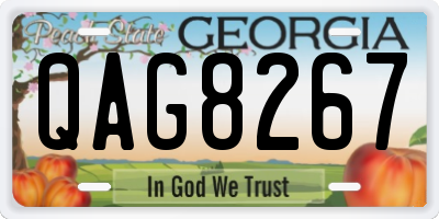 GA license plate QAG8267