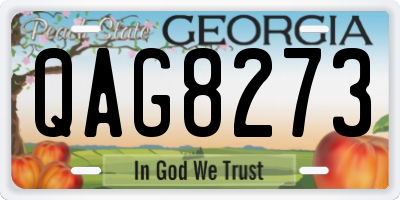 GA license plate QAG8273