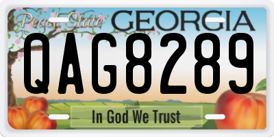 GA license plate QAG8289