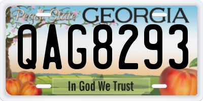 GA license plate QAG8293