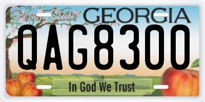 GA license plate QAG8300