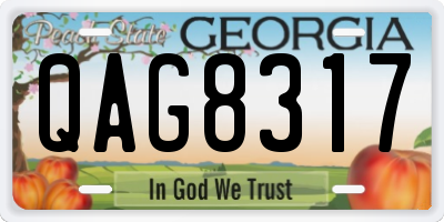 GA license plate QAG8317