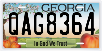 GA license plate QAG8364