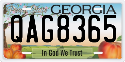 GA license plate QAG8365