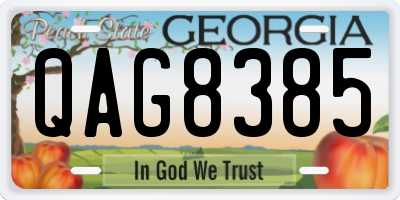 GA license plate QAG8385
