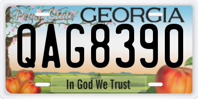 GA license plate QAG8390