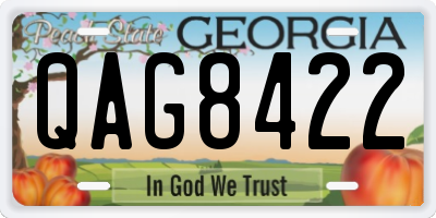 GA license plate QAG8422