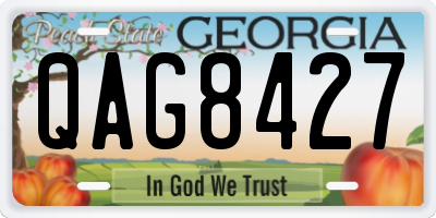 GA license plate QAG8427