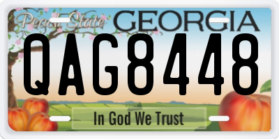 GA license plate QAG8448