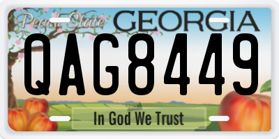 GA license plate QAG8449