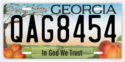 GA license plate QAG8454