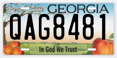 GA license plate QAG8481