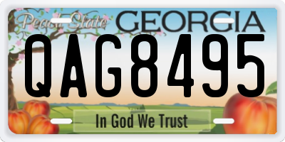 GA license plate QAG8495