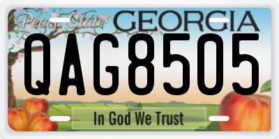 GA license plate QAG8505